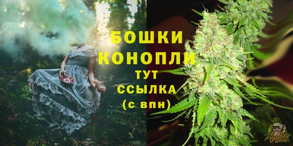 гашик Каменногорск