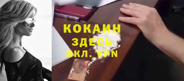 гашик Каменногорск
