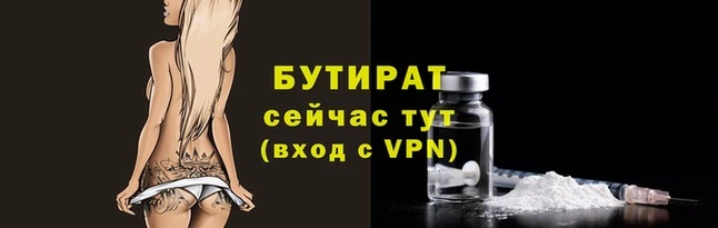 гашик Каменногорск