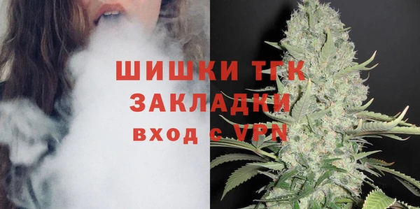 гашик Каменногорск
