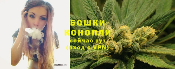 гашик Каменногорск