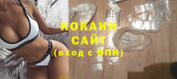 гашик Каменногорск