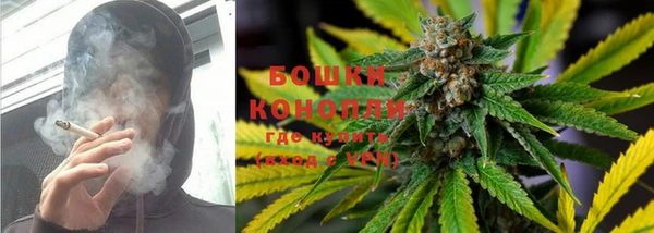 гашик Каменногорск