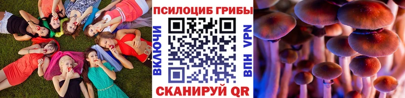 Галлюциногенные грибы Magic Shrooms  Купить где  Электроугли 